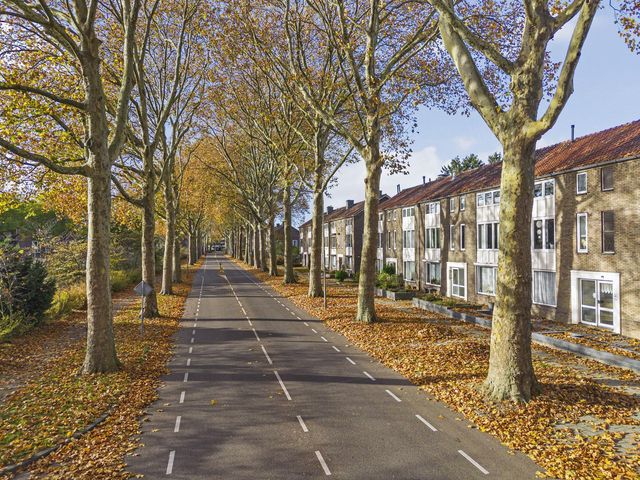 Henri Hermanslaan 117, Geleen