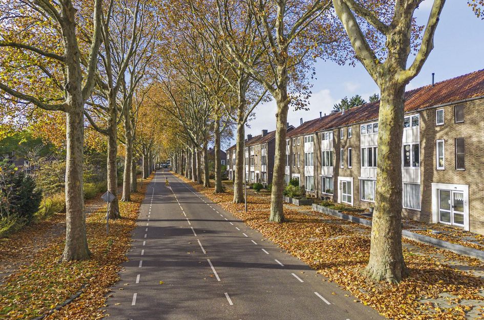 Henri Hermanslaan 117