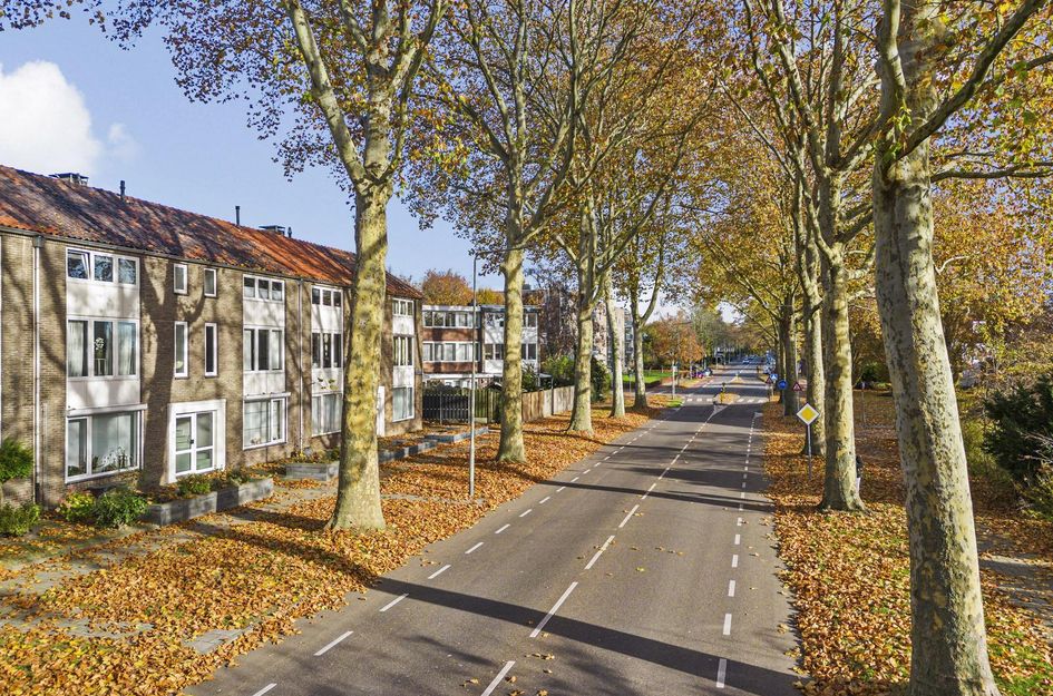 Henri Hermanslaan 117