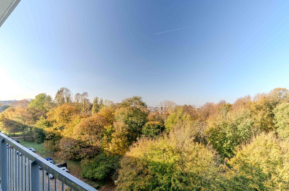 Gv Juliana v Stolbergln 314