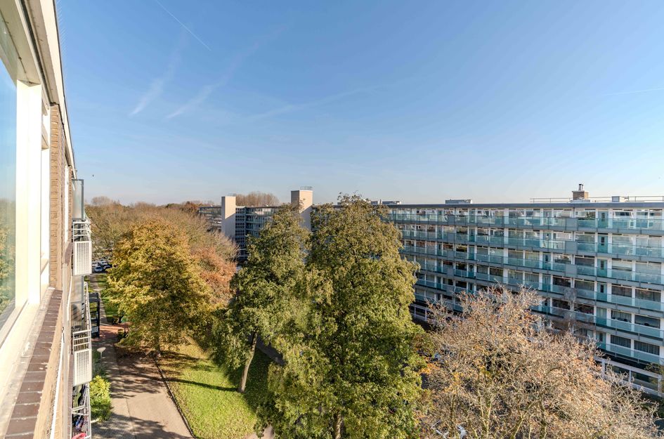 Gv Juliana v Stolbergln 314