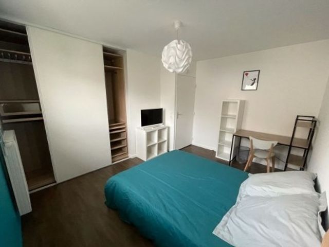 Haag en Veld ONG, Amsterdam