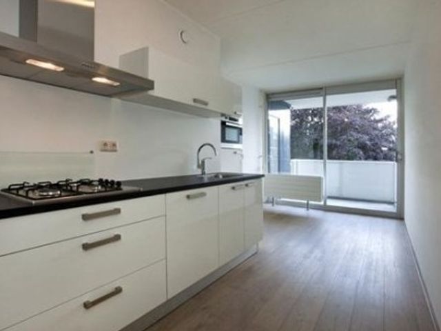 Renkumhof ONG, Amsterdam