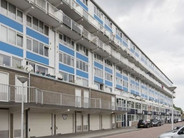 Pieter Calandlaan ONG, Amsterdam