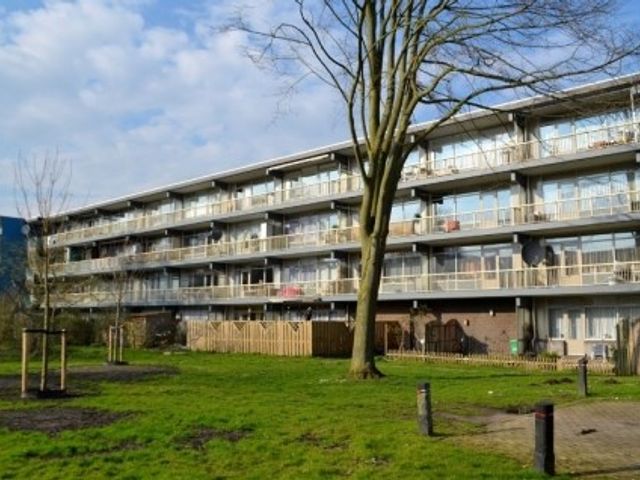 Spinakerhof ONG, Amsterdam