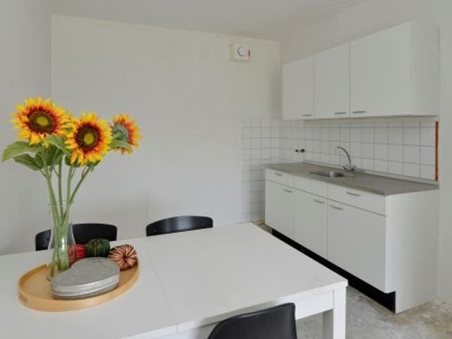 Millingenhof ONG, Amsterdam