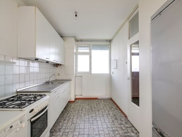 Grubbehoeve ONG, Amsterdam