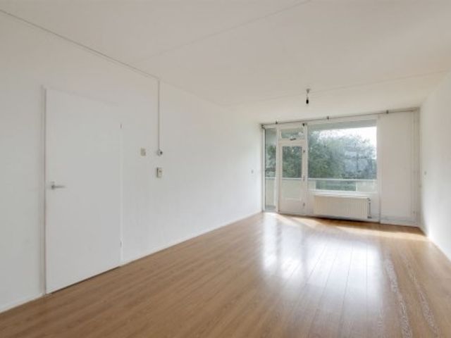 Grubbehoeve ONG, Amsterdam