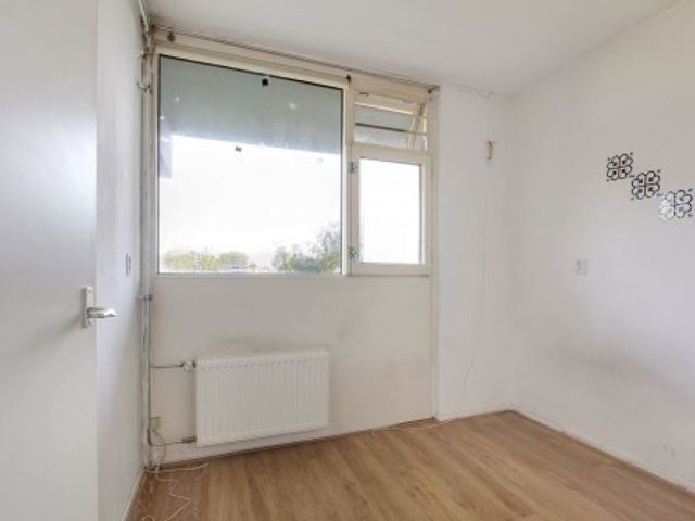 Grubbehoeve ONG, Amsterdam