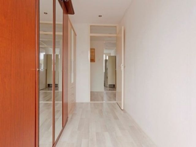 Daniël Defoelaan ONG, Amsterdam