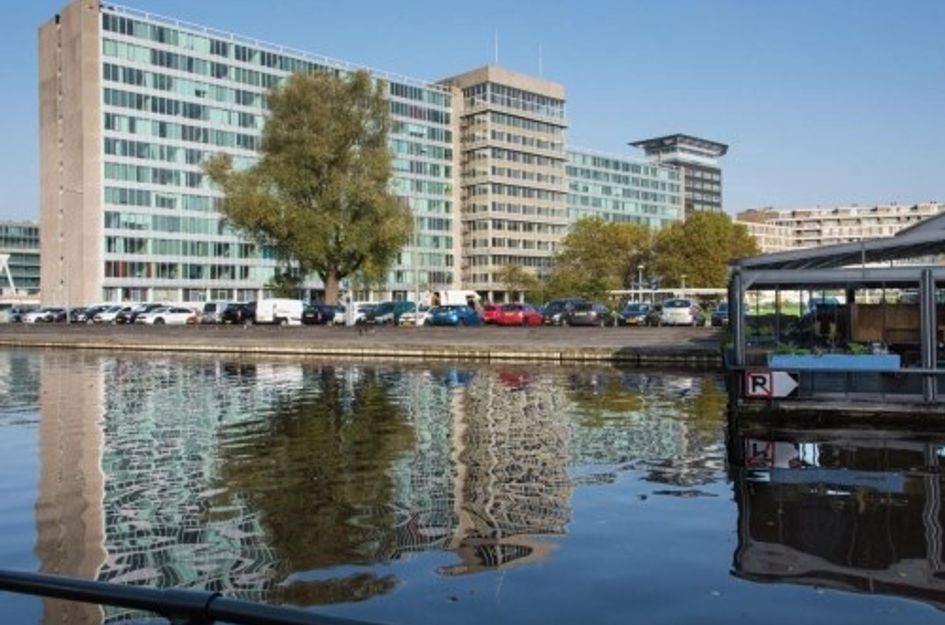 Bos en Lommerplantsoen ONG