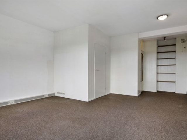 Dierenriem ONG, Amsterdam