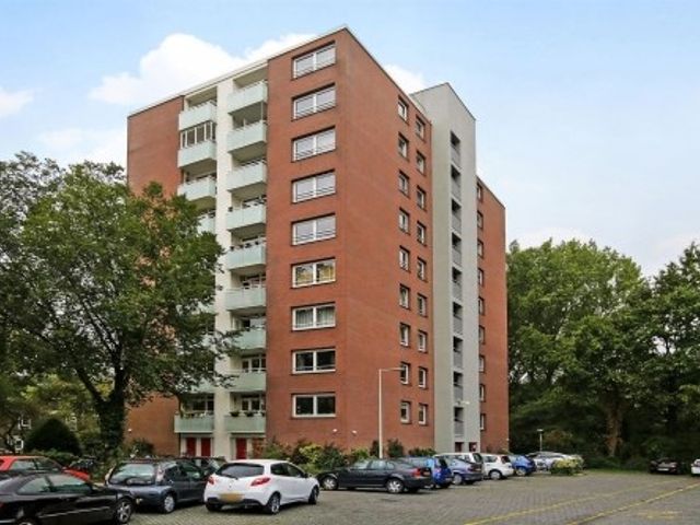 Dierenriem ONG, Amsterdam