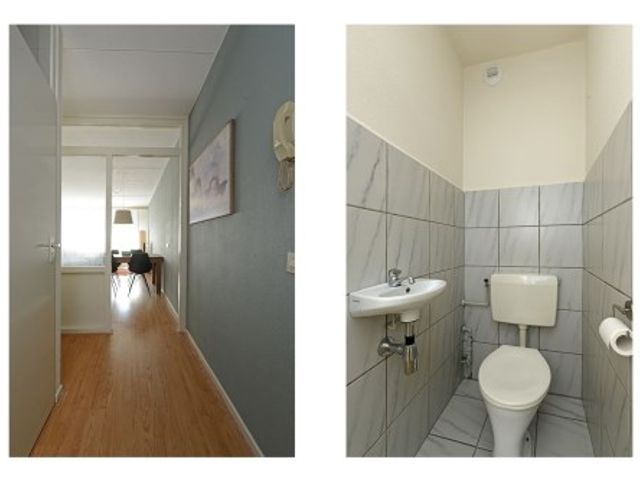 Middellaan ONG, Breda