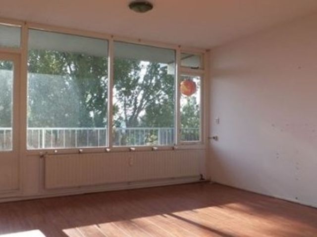 Milanenhorst ONG, Leiden