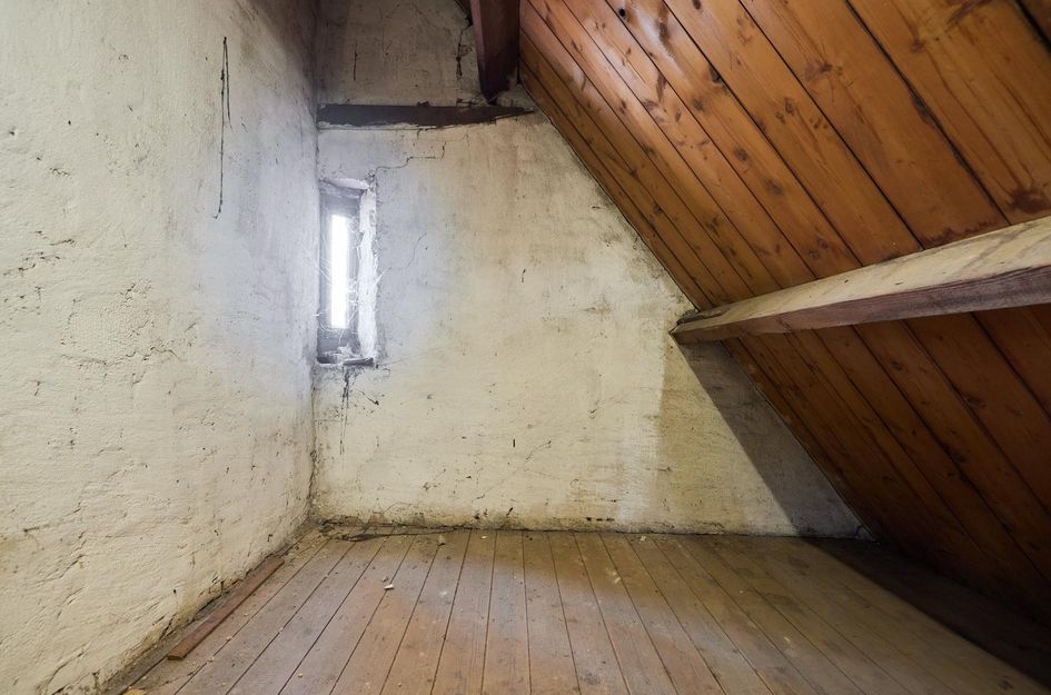 Koningin Wilhelminaweg 468