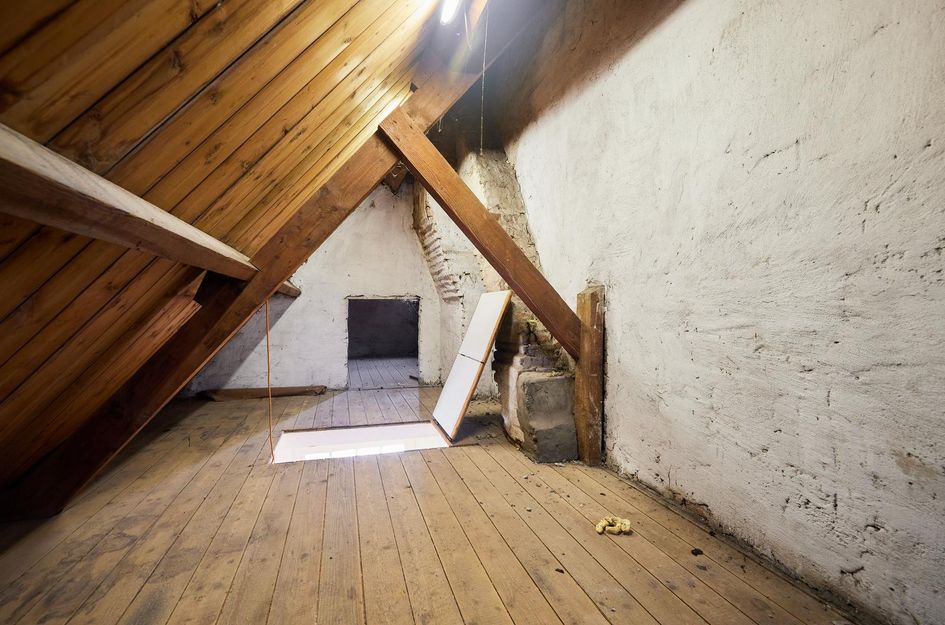 Koningin Wilhelminaweg 468