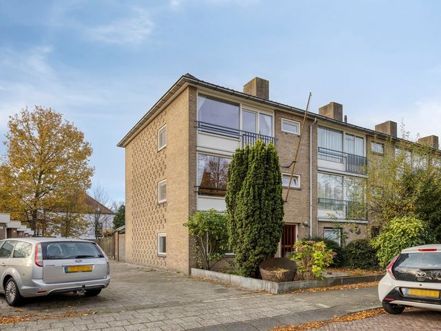 Nicolaas Pieckstraat 11, Gorinchem