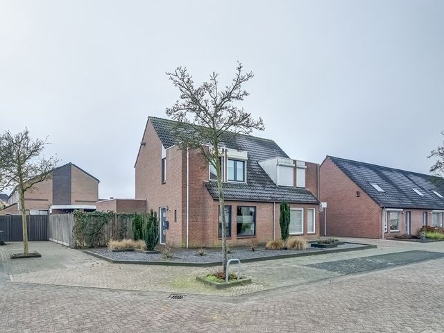 Hazenpad 1, Neerkant