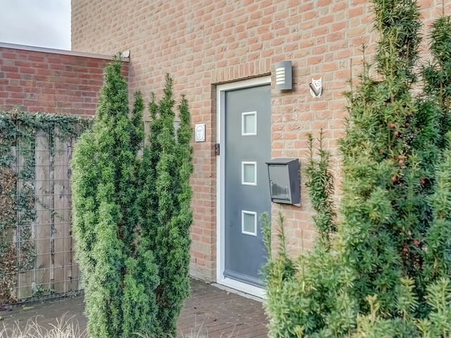 Hazenpad 1, Neerkant