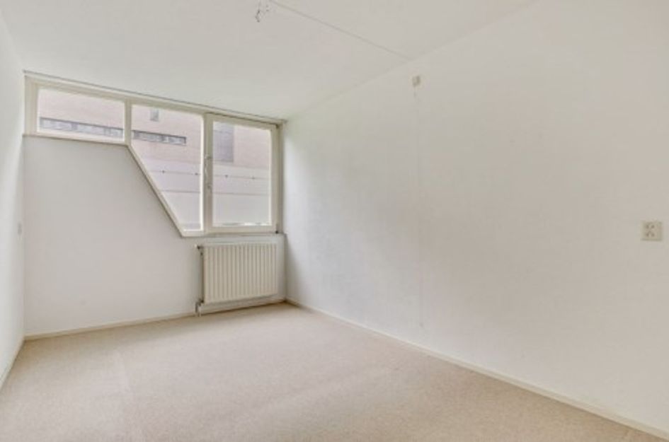 Anna Paulownahof ONG