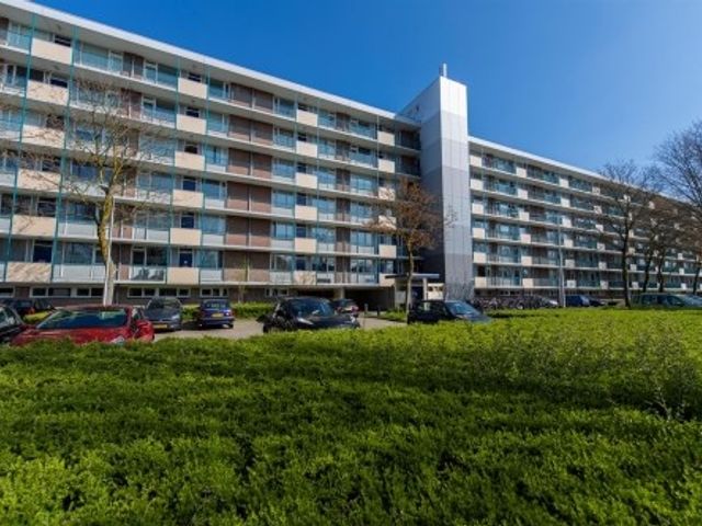 Professor Cobbenhagenlaan ONG, Tilburg