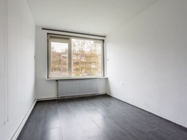 Europalaan ONG, Tilburg