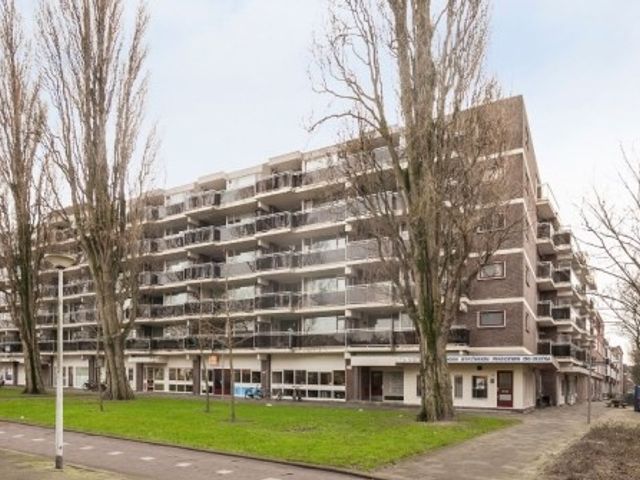 Walenburgerplein ONG, Rotterdam