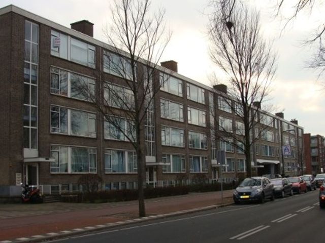 Hengelolaan ONG, Den Haag