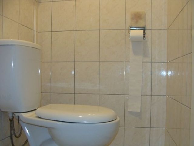 Hengelolaan ONG, Den Haag