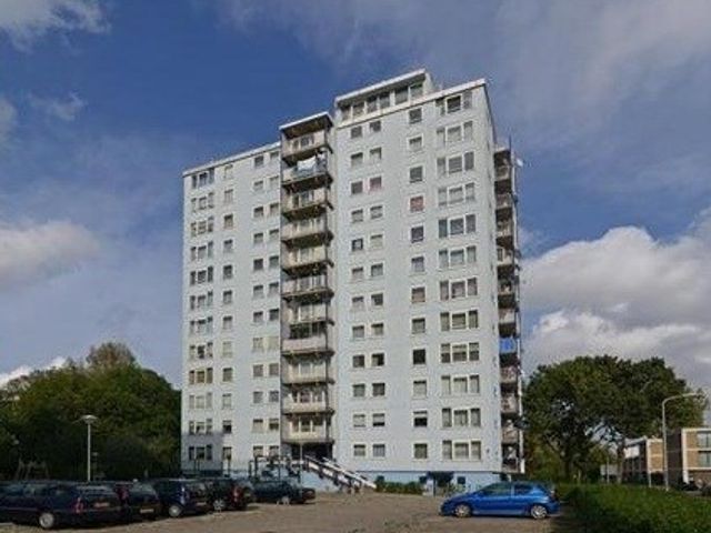 Wezelrade ONG, Den Haag