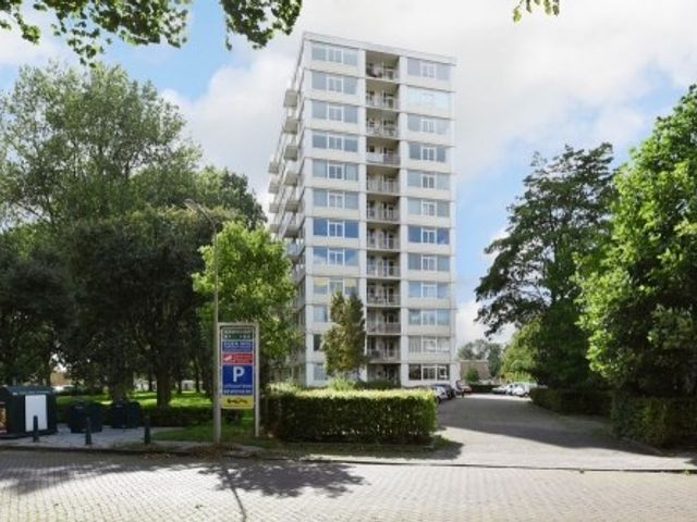 Tarwekamp ONG, Den Haag