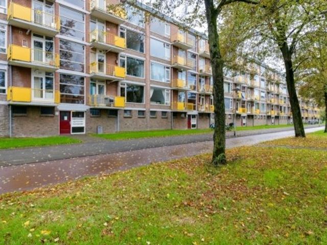 Moezeldreef ONG, Utrecht