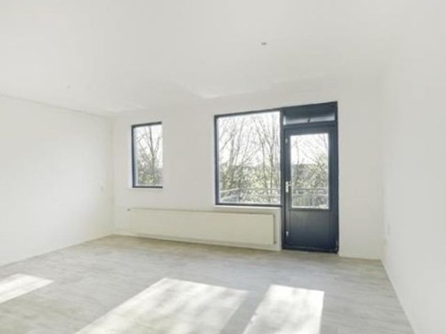 Jungfrau ONG, Utrecht