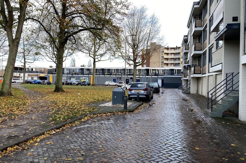 Jan van Goijenstraat 