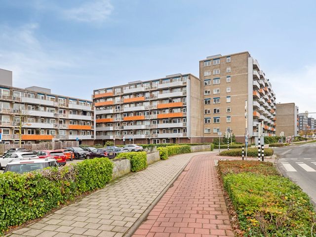 Tomatenplein 173, Zwijndrecht