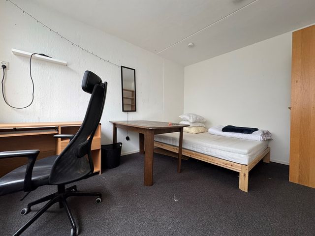 Briljantstraat 3, Groningen