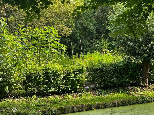 Essenburgsingel 89A, Rotterdam