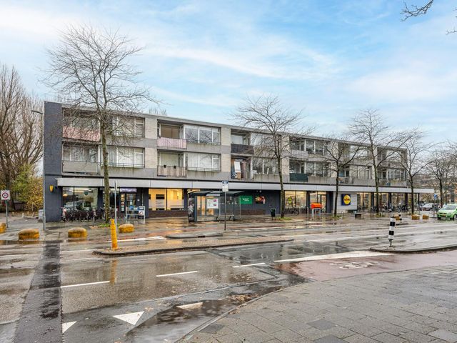 William Harveystraat 28, Haarlem