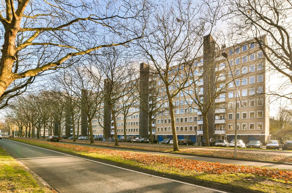 Van Nijenrodeweg 399