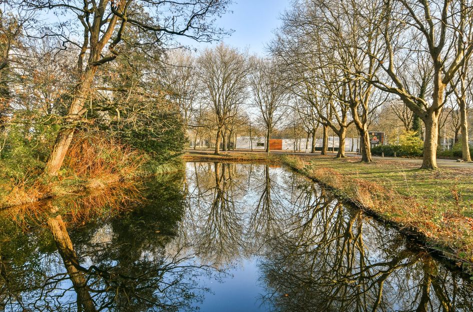 Van Nijenrodeweg 399