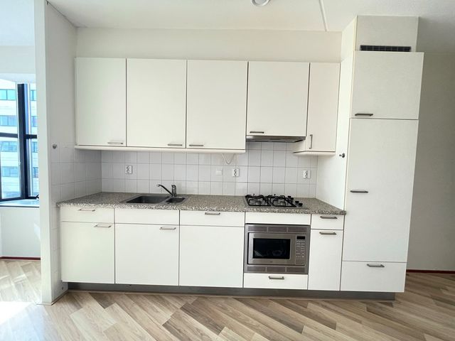 Generaal Eisenhowerplein 5F104, Rijswijk