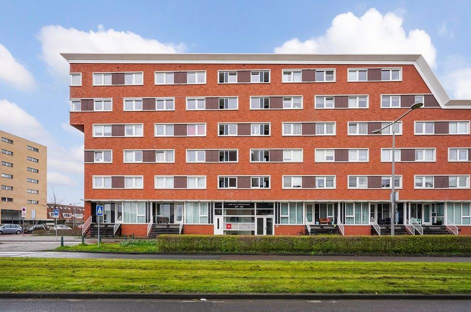 Laan van Leidschenveen 273