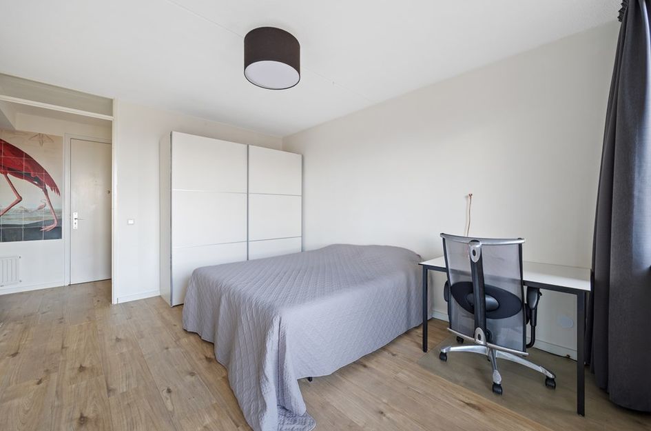 Laan van Leidschenveen 273