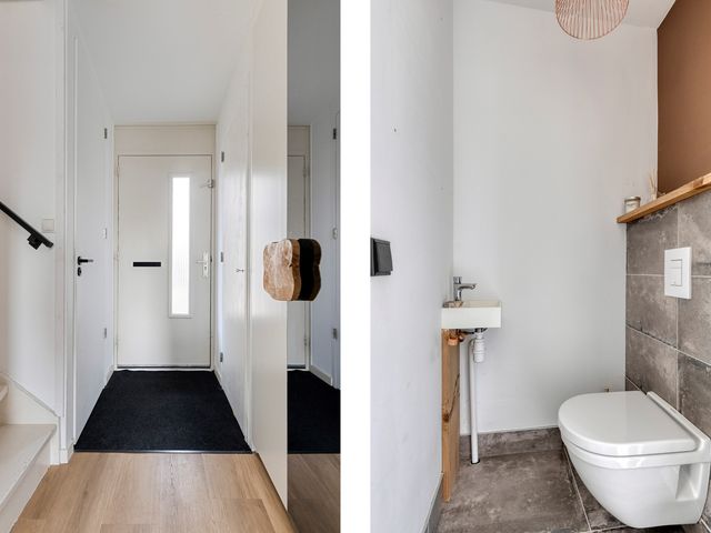 Visarend 49, Bergen op Zoom