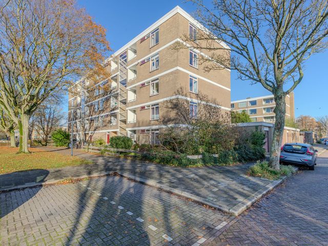 Mozartstraat 209, Leiden