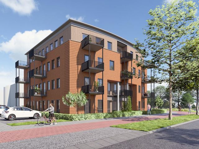 De Contrabas , Oud-Beijerland