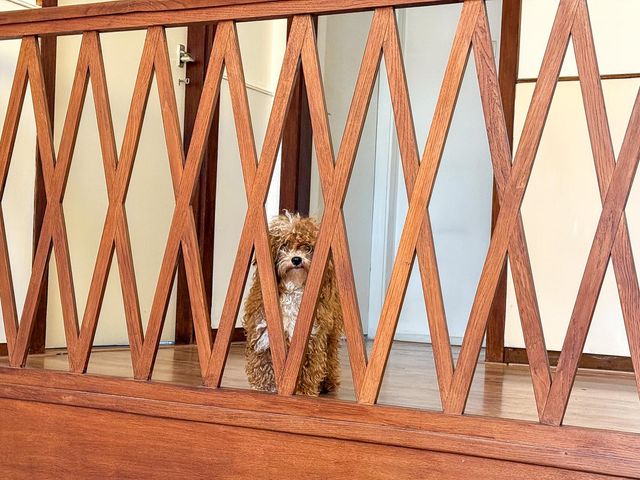 Laurillardlaan 1, Bilthoven