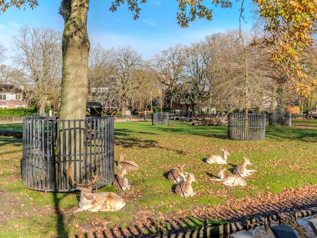 Van Reenenpark 25, Bergen (NH)