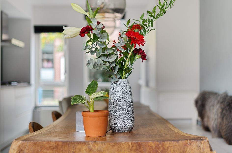 Heelmeestersdreef 103